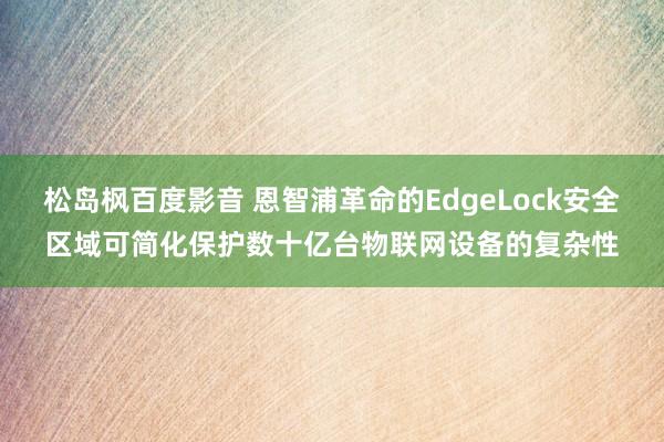 松岛枫百度影音 恩智浦革命的EdgeLock安全区域可简化保护数十亿台物联网设备的复杂性