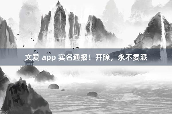 文爱 app 实名通报！开除，永不委派