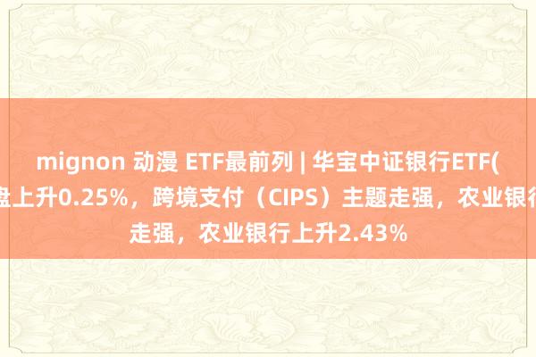 mignon 动漫 ETF最前列 | 华宝中证银行ETF(512800)早盘上升0.25%，跨境支付（CIPS）主题走强，农业银行上升2.43%