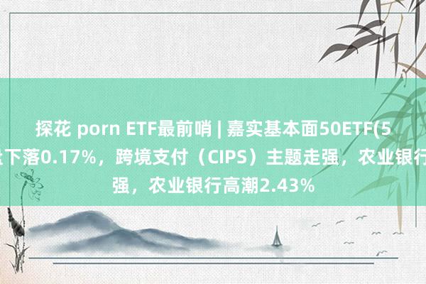 探花 porn ETF最前哨 | 嘉实基本面50ETF(512750)早盘下落0.17%，跨境支付（CIPS）主题走强，农业银行高潮2.43%