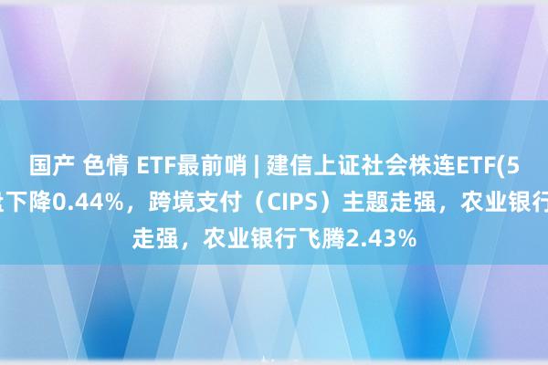 国产 色情 ETF最前哨 | 建信上证社会株连ETF(510090)早盘下降0.44%，跨境支付（CIPS）主题走强，农业银行飞腾2.43%