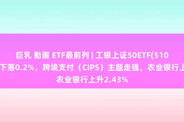 巨乳 動画 ETF最前列 | 工银上证50ETF(510850)早盘下落0.2%，跨境支付（CIPS）主题走强，农业银行上升2.43%