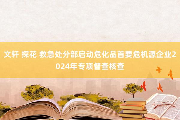 文轩 探花 救急处分部启动危化品首要危机源企业2024年专项督查核查