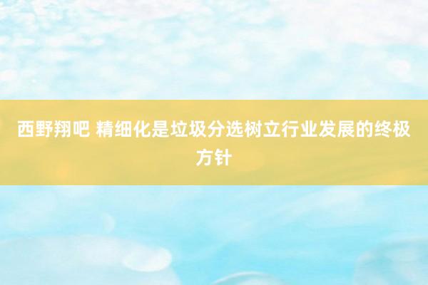 西野翔吧 精细化是垃圾分选树立行业发展的终极方针