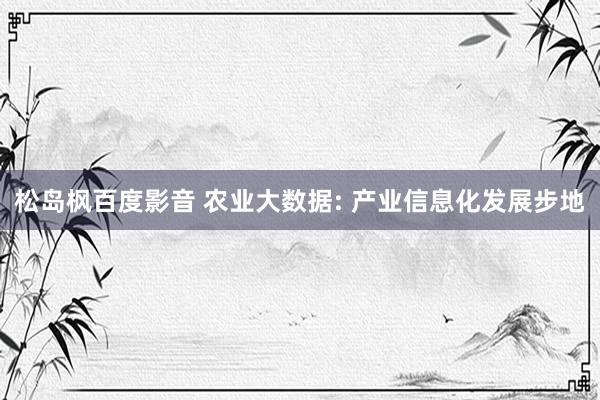 松岛枫百度影音 农业大数据: 产业信息化发展步地