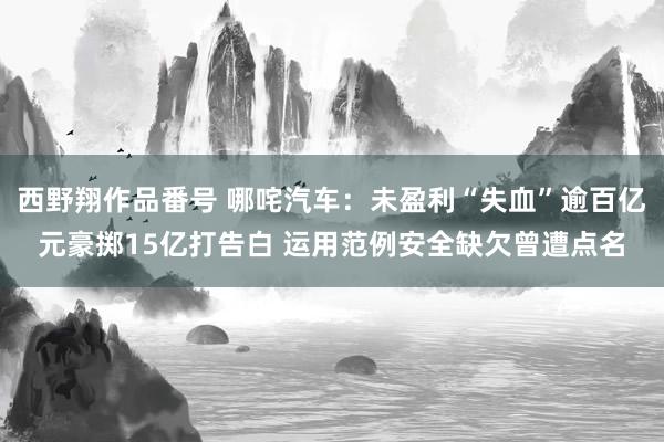 西野翔作品番号 哪咤汽车：未盈利“失血”逾百亿元豪掷15亿打告白 运用范例安全缺欠曾遭点名