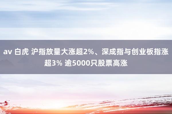 av 白虎 沪指放量大涨超2%、深成指与创业板指涨超3% 逾5000只股票高涨