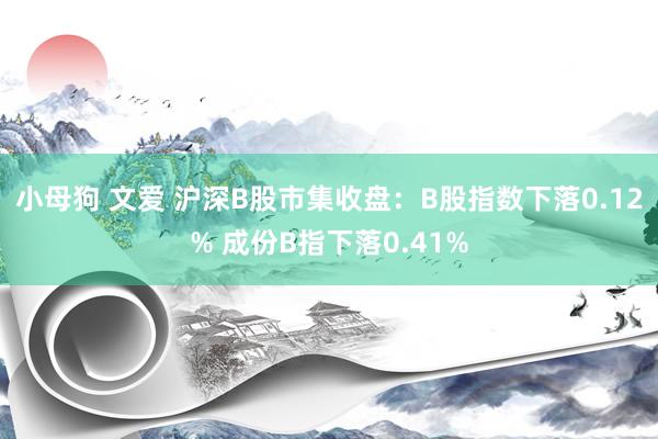 小母狗 文爱 沪深B股市集收盘：B股指数下落0.12% 成份B指下落0.41%