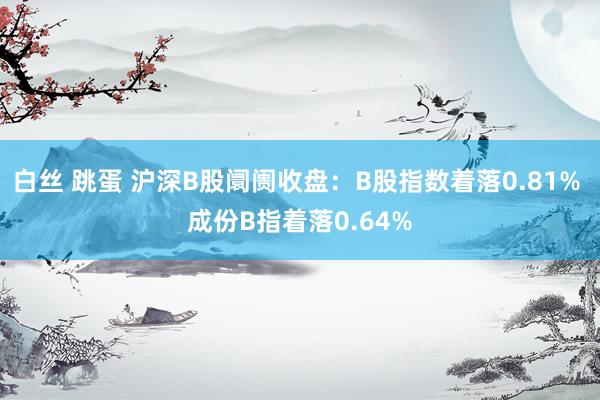 白丝 跳蛋 沪深B股阛阓收盘：B股指数着落0.81% 成份B指着落0.64%