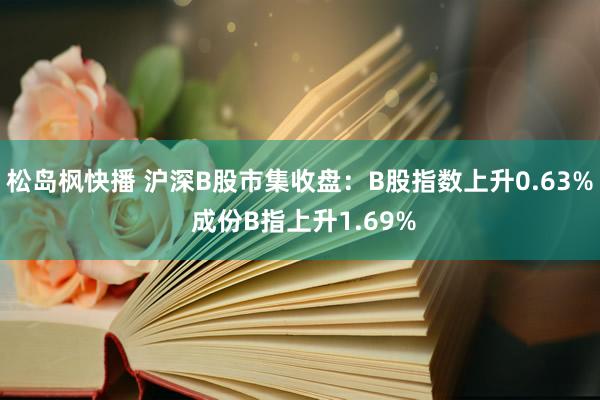 松岛枫快播 沪深B股市集收盘：B股指数上升0.63% 成份B指上升1.69%