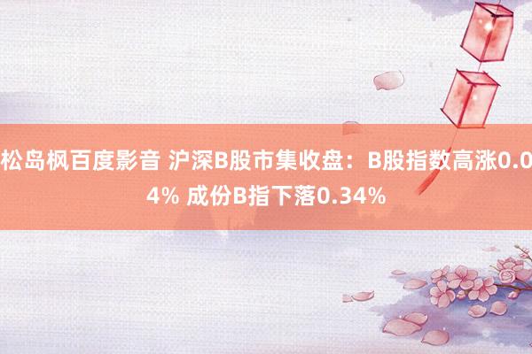 松岛枫百度影音 沪深B股市集收盘：B股指数高涨0.04% 成份B指下落0.34%