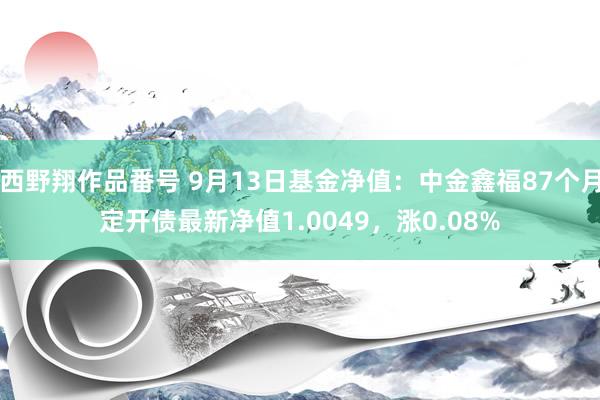 西野翔作品番号 9月13日基金净值：中金鑫福87个月定开债最新净值1.0049，涨0.08%