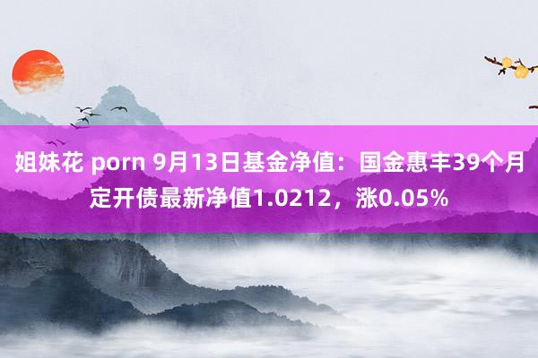 姐妹花 porn 9月13日基金净值：国金惠丰39个月定开债最新净值1.0212，涨0.05%