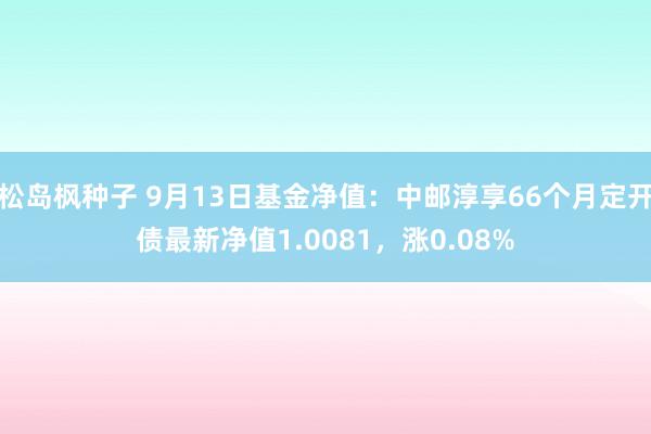 松岛枫种子 9月13日基金净值：中邮淳享66个月定开债最新净值1.0081，涨0.08%