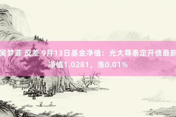 吴梦菲 反差 9月13日基金净值：光大尊泰定开债最新净值1.0281，涨0.01%