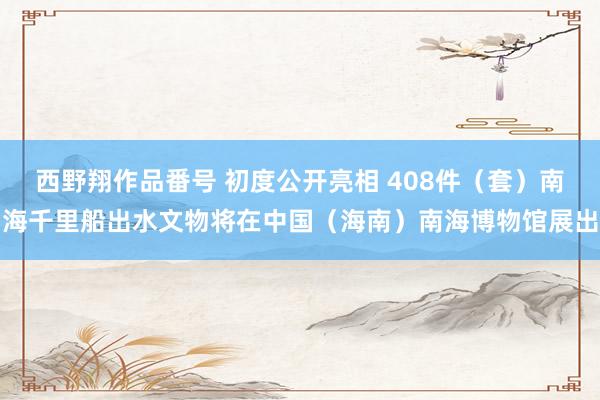 西野翔作品番号 初度公开亮相 408件（套）南海千里船出水文物将在中国（海南）南海博物馆展出