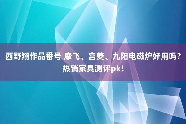 西野翔作品番号 摩飞、宫菱、九阳电磁炉好用吗？热销家具测评pk！