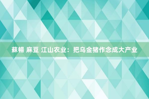 蘇暢 麻豆 江山农业：把乌金猪作念成大产业