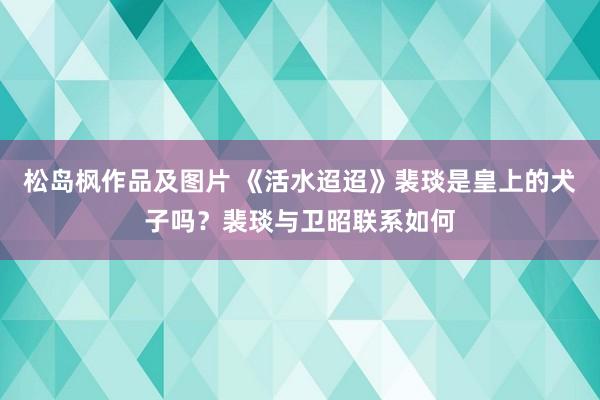 松岛枫作品及图片 《活水迢迢》裴琰是皇上的犬子吗？裴琰与卫昭联系如何