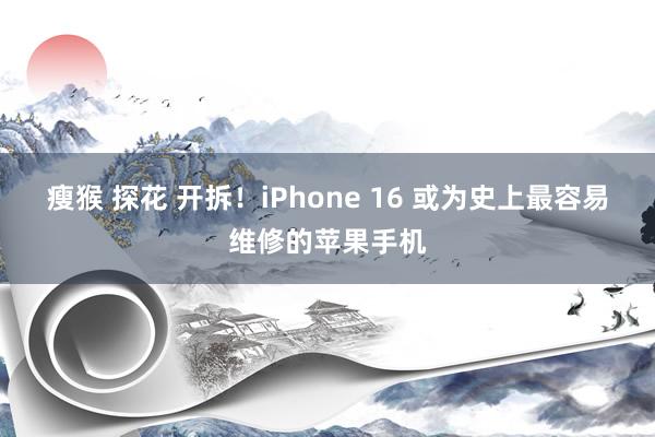 瘦猴 探花 开拆！iPhone 16 或为史上最容易维修的苹果手机