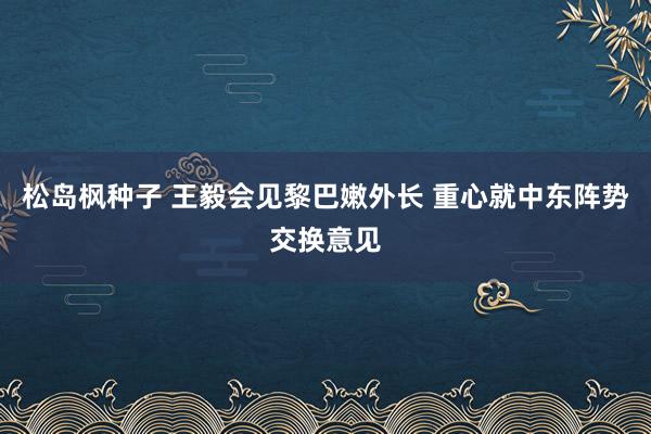 松岛枫种子 王毅会见黎巴嫩外长 重心就中东阵势交换意见