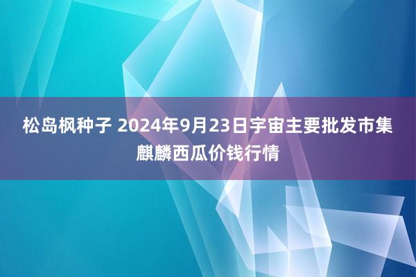 松岛枫种子 2024年9月23日宇宙主要批发市集麒麟西瓜价钱行情