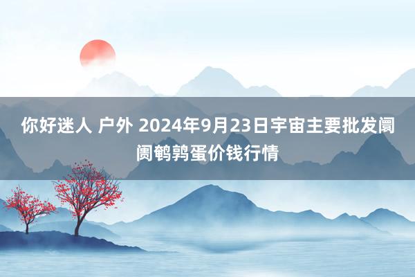 你好迷人 户外 2024年9月23日宇宙主要批发阛阓鹌鹑蛋价钱行情