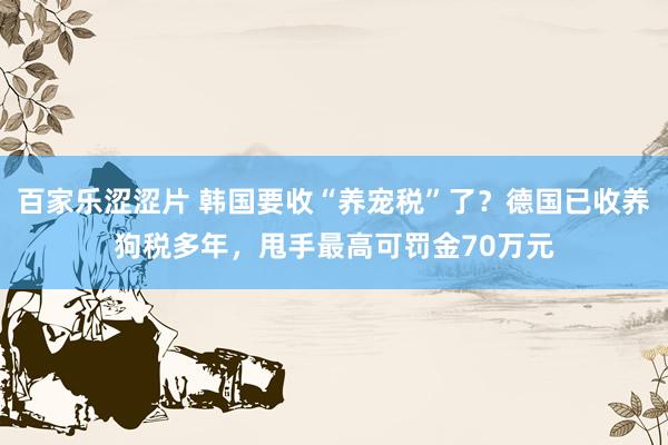 百家乐涩涩片 韩国要收“养宠税”了？德国已收养狗税多年，甩手最高可罚金70万元