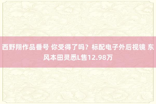 西野翔作品番号 你受得了吗？标配电子外后视镜 东风本田灵悉L售12.98万