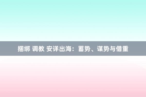 捆绑 调教 安详出海：蓄势、谋势与借重