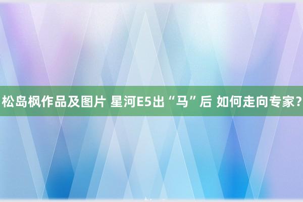 松岛枫作品及图片 星河E5出“马”后 如何走向专家？