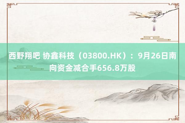 西野翔吧 协鑫科技（03800.HK）：9月26日南向资金减合手656.8万股