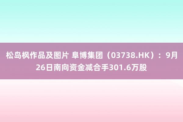 松岛枫作品及图片 阜博集团（03738.HK）：9月26日南向资金减合手301.6万股