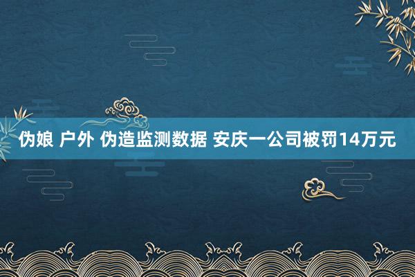 伪娘 户外 伪造监测数据 安庆一公司被罚14万元