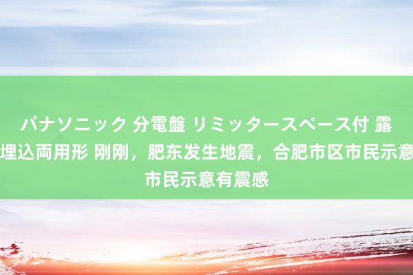 パナソニック 分電盤 リミッタースペース付 露出・半埋込両用形 刚刚，肥东发生地震，合肥市区市民示意有震感