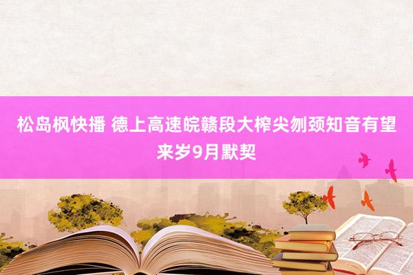 松岛枫快播 德上高速皖赣段大榨尖刎颈知音有望来岁9月默契