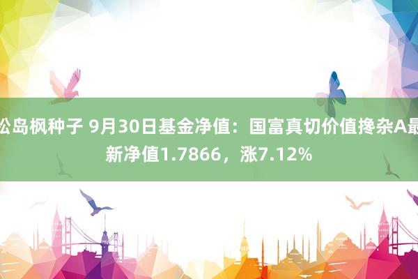 松岛枫种子 9月30日基金净值：国富真切价值搀杂A最新净值1.7866，涨7.12%