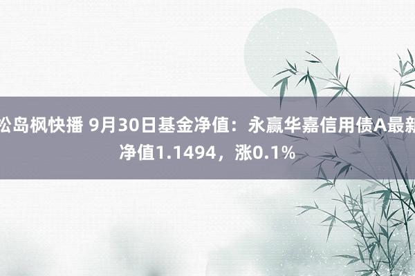 松岛枫快播 9月30日基金净值：永赢华嘉信用债A最新净值1.1494，涨0.1%