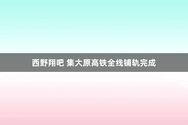 西野翔吧 集大原高铁全线铺轨完成