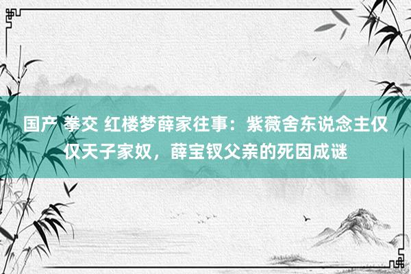 国产 拳交 红楼梦薛家往事：紫薇舍东说念主仅仅天子家奴，薛宝钗父亲的死因成谜