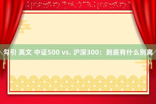 勾引 英文 中证500 vs. 沪深300：到底有什么别离