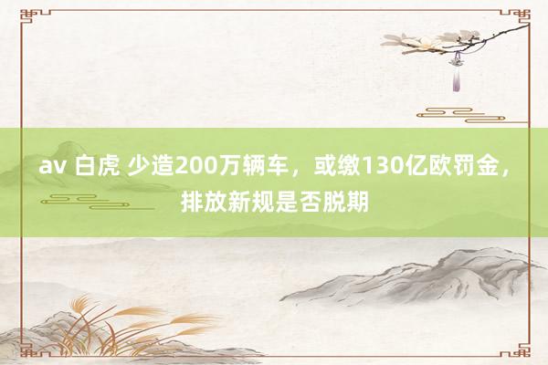 av 白虎 少造200万辆车，或缴130亿欧罚金，排放新规是否脱期