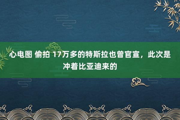 心电图 偷拍 17万多的特斯拉也曾官宣，此次是冲着比亚迪来的