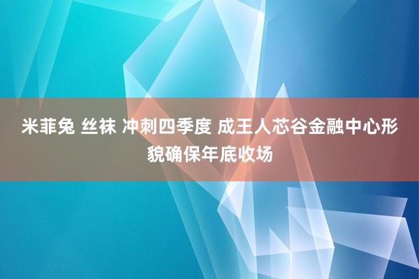 米菲兔 丝袜 冲刺四季度 成王人芯谷金融中心形貌确保年底收场