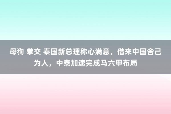 母狗 拳交 泰国新总理称心满意，借来中国舍己为人，中泰加速完成马六甲布局