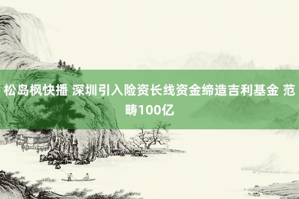 松岛枫快播 深圳引入险资长线资金缔造吉利基金 范畴100亿