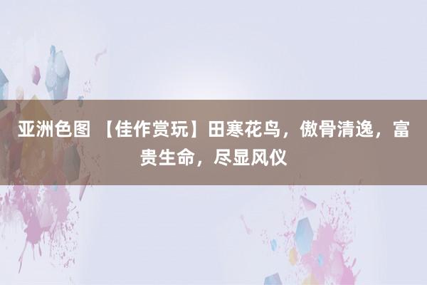 亚洲色图 【佳作赏玩】田寒花鸟，傲骨清逸，富贵生命，尽显风仪