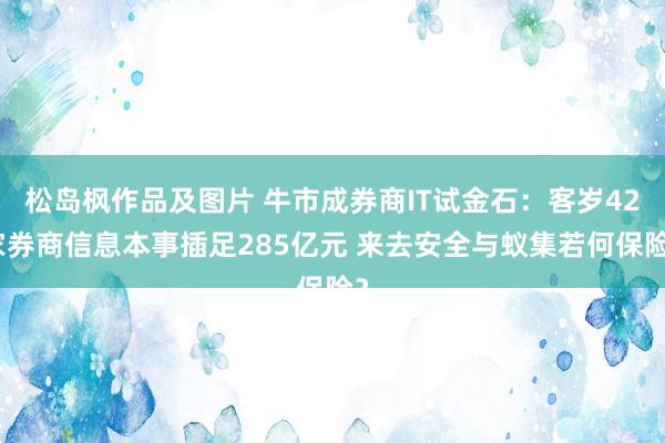 松岛枫作品及图片 牛市成券商IT试金石：客岁42家券商信息本事插足285亿元 来去安全与蚁集若何保险？