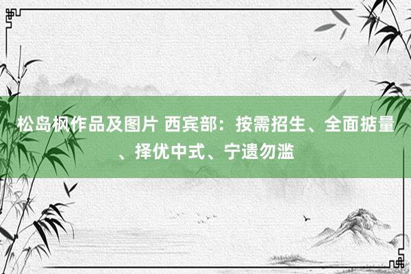 松岛枫作品及图片 西宾部：按需招生、全面掂量、择优中式、宁遗勿滥