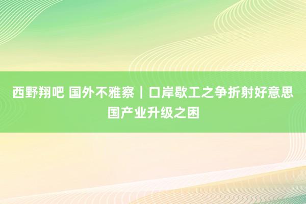 西野翔吧 国外不雅察｜口岸歇工之争折射好意思国产业升级之困